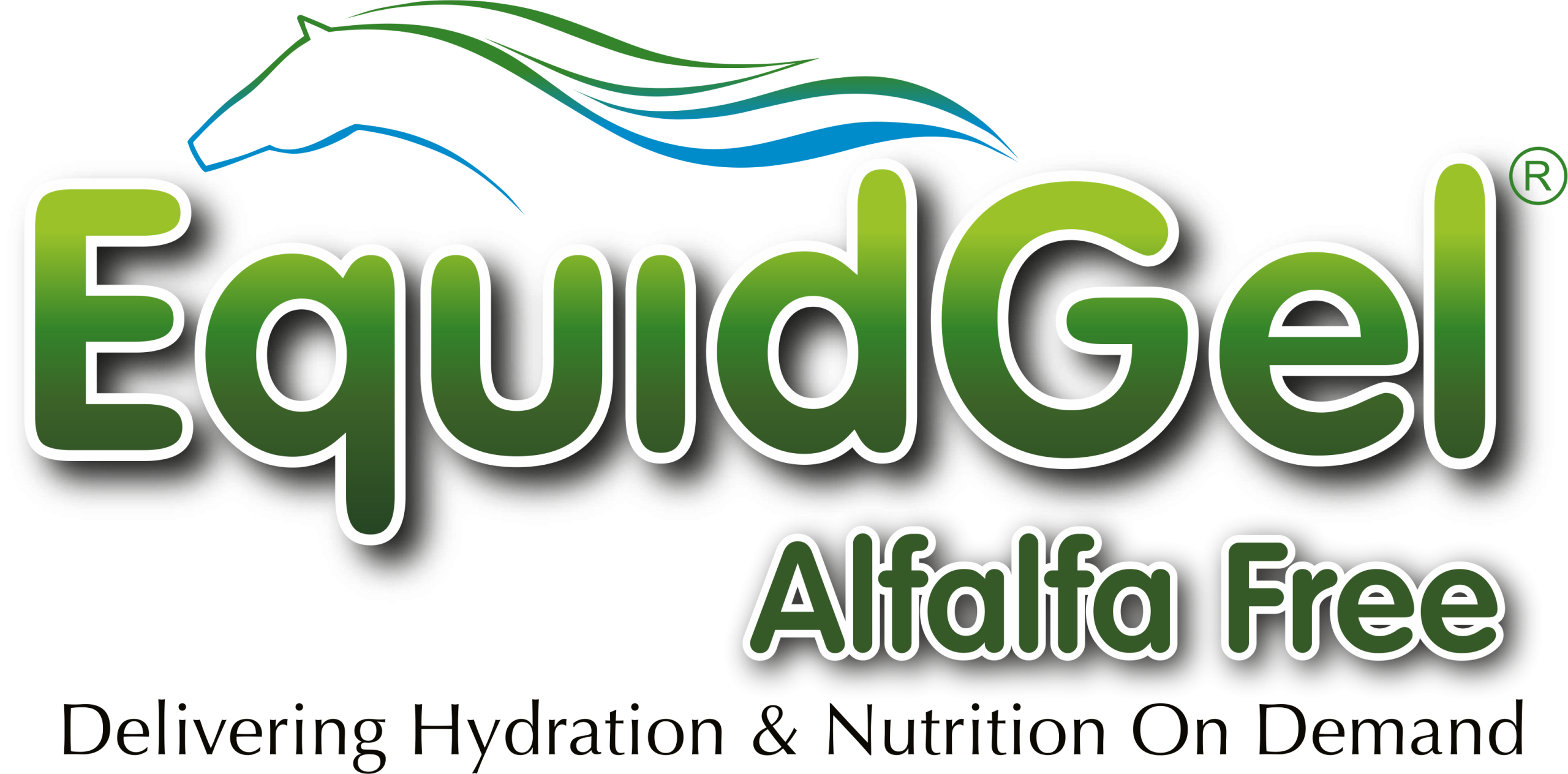 EquidGel-Alfalfa-free-logo-PNG-scaled