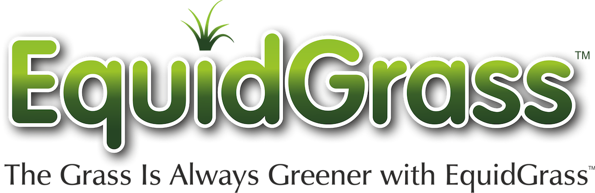 EquidGrass-PNG