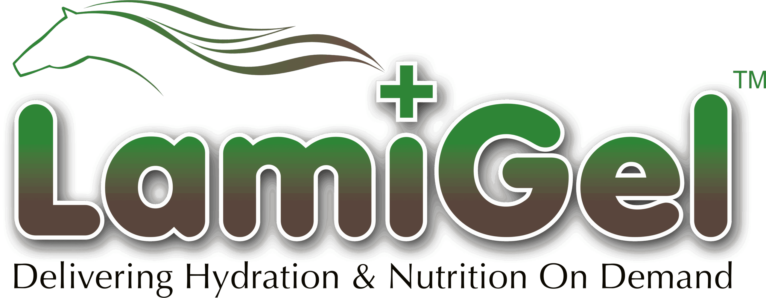 LamiGel-200kb