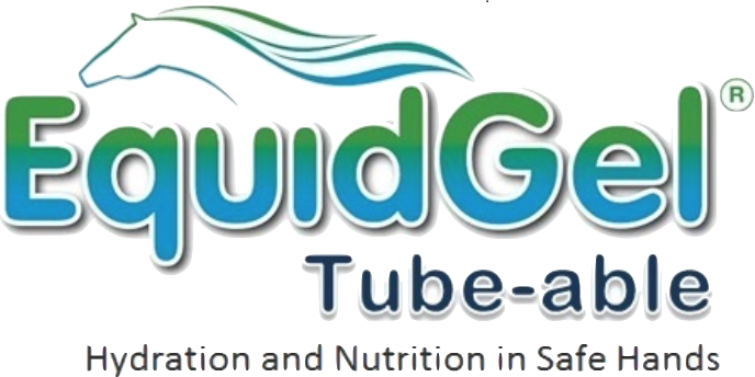 equidgeltube